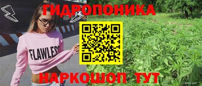 прущие крисы Комсомольск-на-Амуре